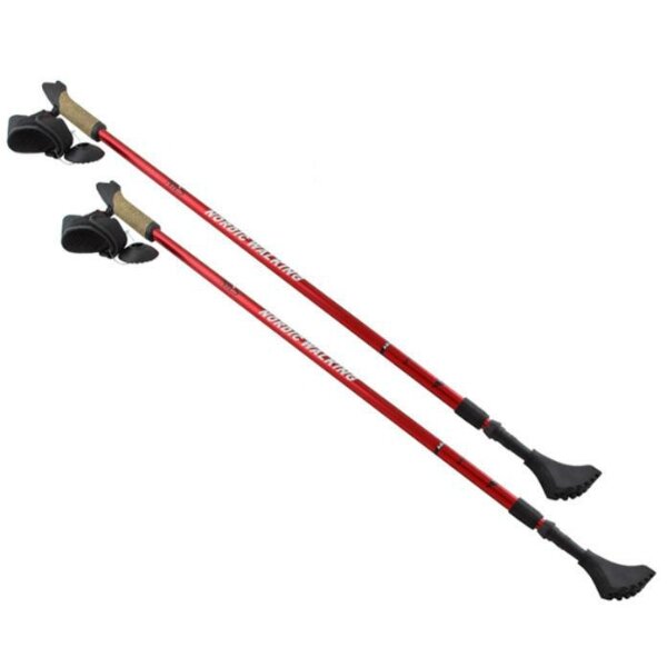 Vaikščiojimo lazdos Nordic Walking NW607