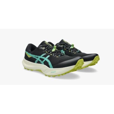 Vyriški bėgimo batai Asics Fuji Lite 6