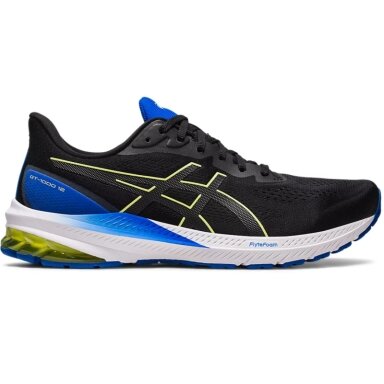 Vyriški bėgimo batai Asics GT-1000 12