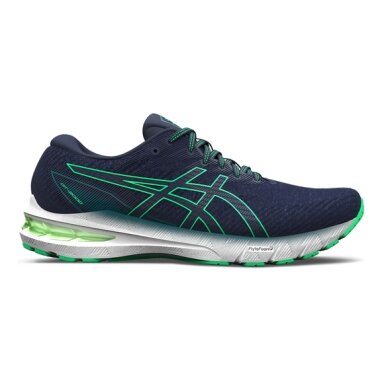 Vyriški bėgimo batai Asics GT-2000 10