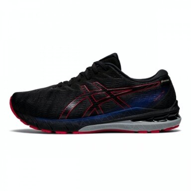 Vyriški bėgimo batai Asics GT-2000 10 G-TX