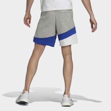 Vyriški šortai adidas COLORBLOCK