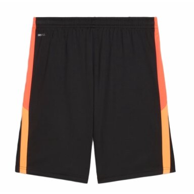 Vyriški šortai Puma INDIVIDUAL LIGA