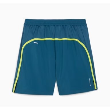 Vyriški šortai Puma VELOCITY