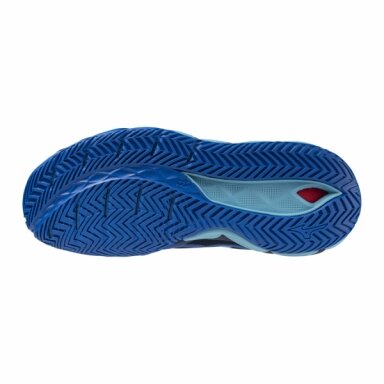 Vyriški teniso batai Mizuno WAVE ENFORCE TOUR AC
