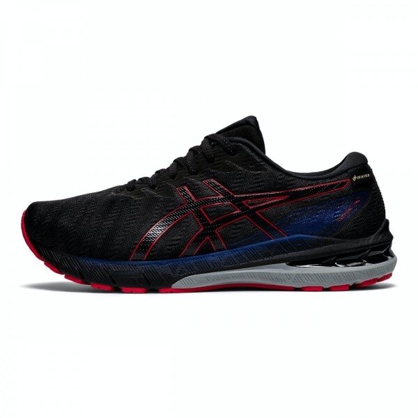 Vyriški bėgimo batai Asics GT-2000 10 G-TX