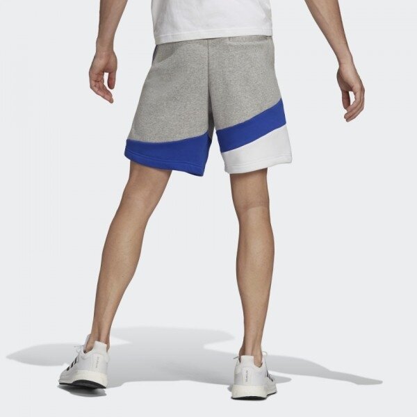 Vyriški šortai adidas COLORBLOCK 1 Vyriški šortai adidas COLORBLOCK 1