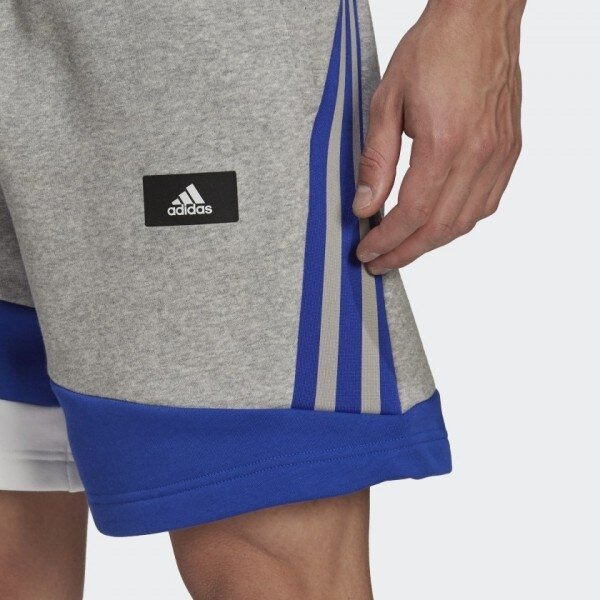 Vyriški šortai adidas COLORBLOCK 2 Vyriški šortai adidas COLORBLOCK 2
